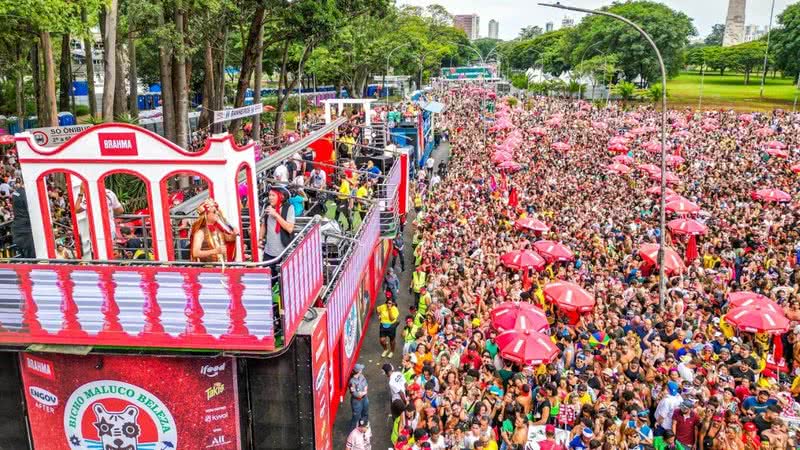 Gestão montou uma estrutura funcional para moradores e turistas aproveitarem a folia - Foto: Divulgação/Prefeitura de São Paulo