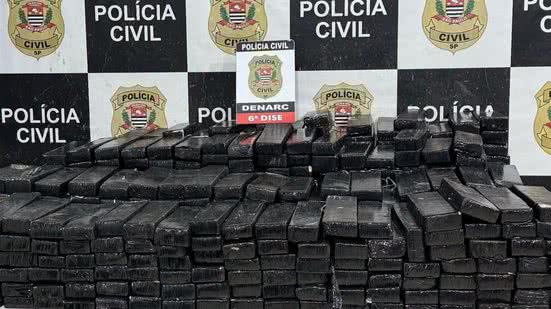 Investigação leva à apreensão de quase 500 kg de maconha em caminhão suspeito - Foto: Reprodução/Secretaria da Segurança Pública SSP