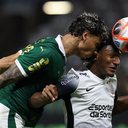 Foto: Cesar Greco/Palmeiras via Fotos Públicas