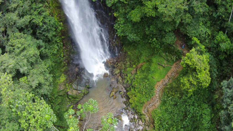 O parque estadual abriga a maior porção de Mata Atlântica preservada do Brasil - Foto: Divulgação/Parque Estadual Turístico do Alto Ribeira