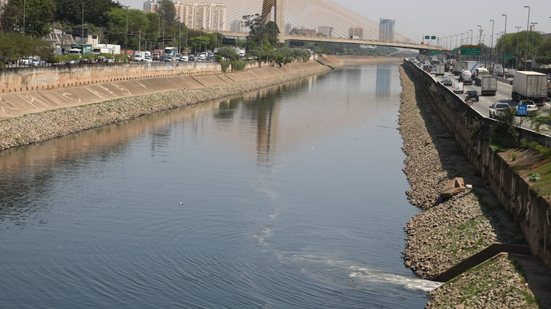 O governo de São Paulo deve iniciar com um trecho do rio entre a capital e Guarulhos - Foto: Rovena Rosa/Agencia Brasil